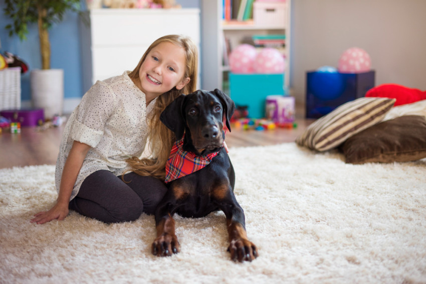 High-Traffic Areas: How Often to Clean Carpets with Pets