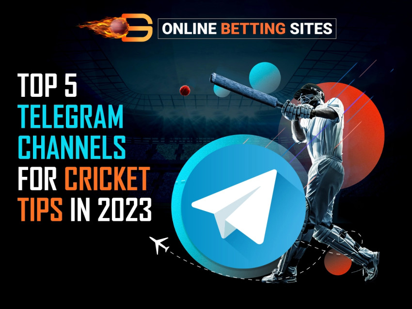 Top Five Online Cricket Betting Sites in India