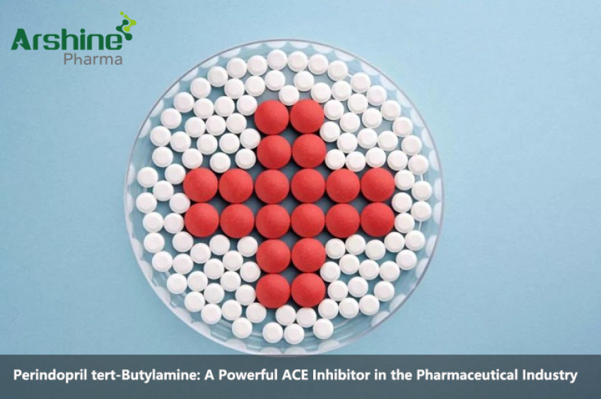 Perindopril tert-Butylamine: A Powerful ACE Inhibitor in the Pharmaceutical Industry