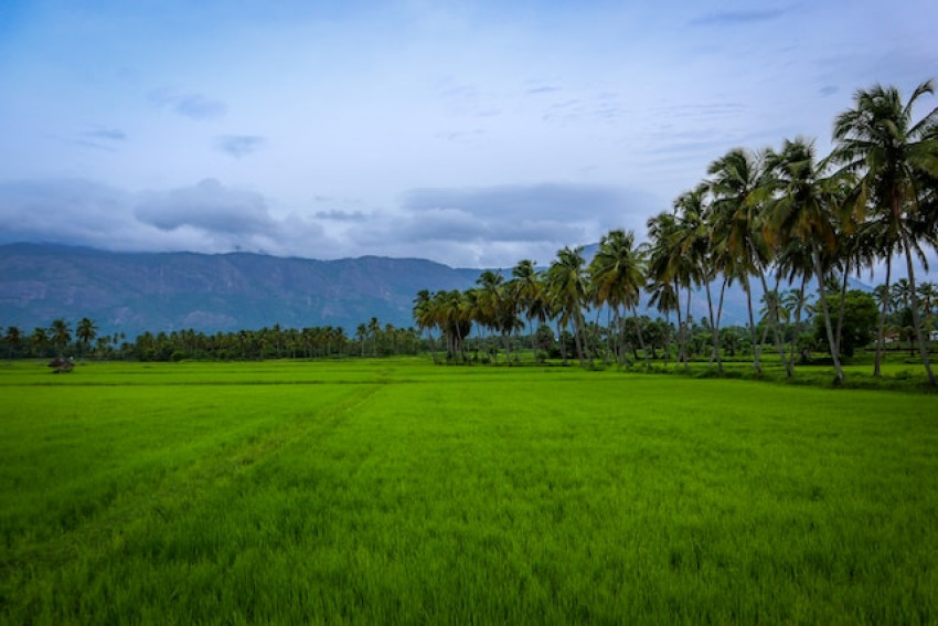 Unveiling the Splendor of Kerala: Top 10 Destinations to Explore