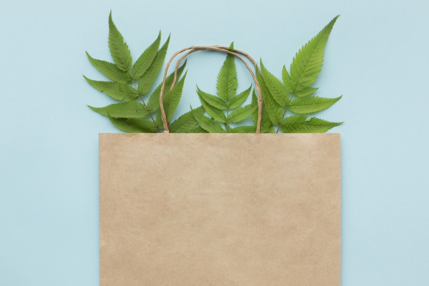 Revolutionizing Green Packaging: The Role of a Custom Printed Cotton Bags Manufacturer