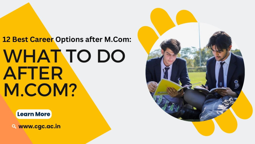 12 Best Career Options after M.Com: What to do After M.Com?