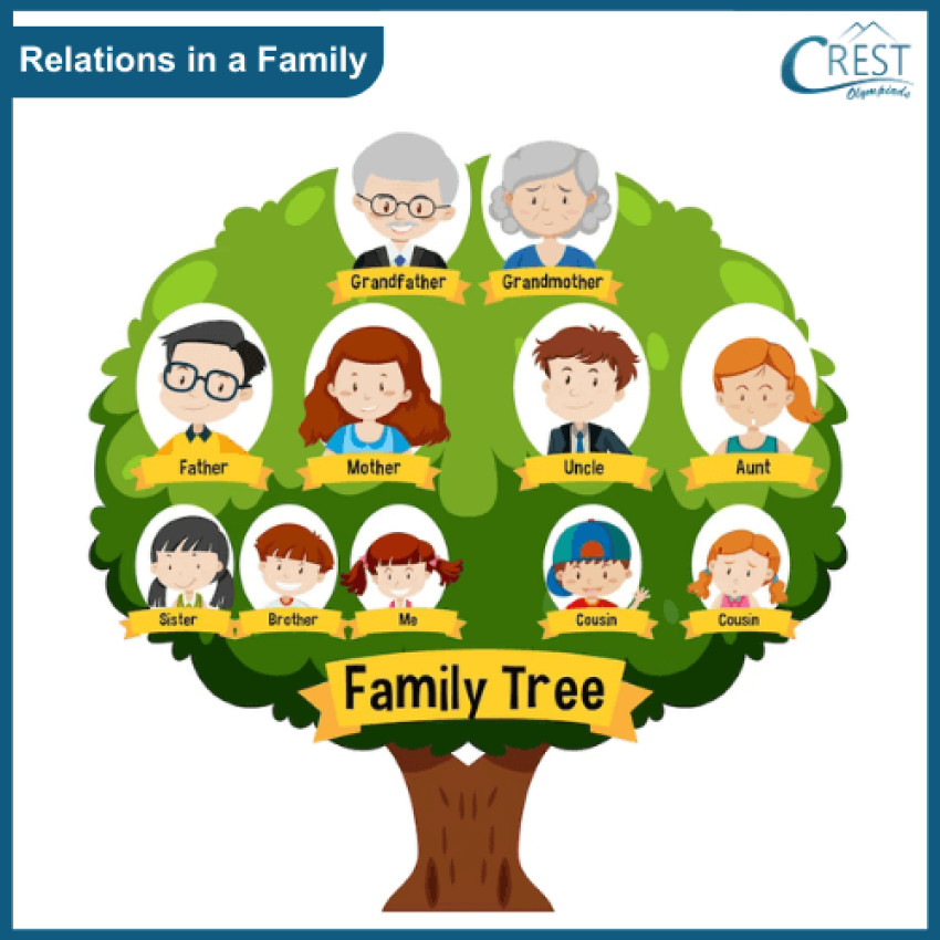 Our Family - Class 2 Notes & Olympiad Questions