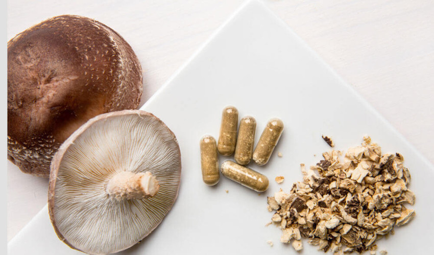 The Magic of Amazing Shrooms: Exploring the Benefits of Microdosing