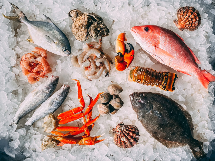 Tips On Freezing Fresh Seafood Products