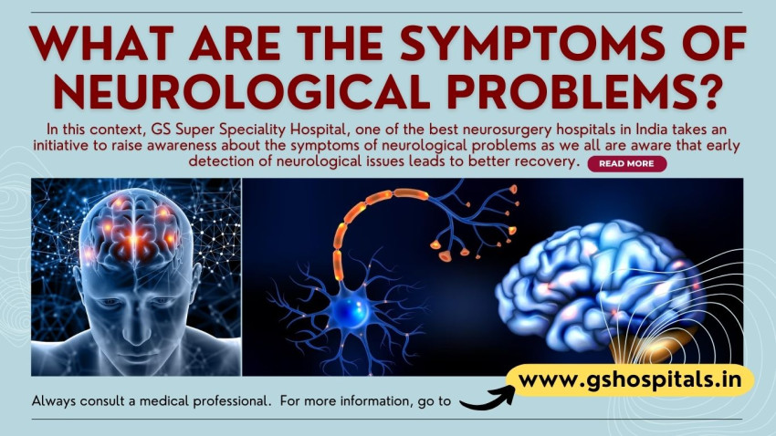 What are the symptoms of Neurological Problems?