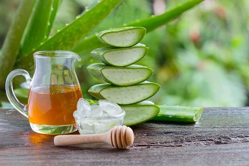 A Lot Of Well being Advantages Are Offered By Aloe Vera Juice