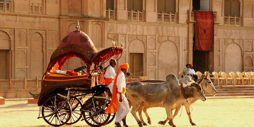 Discover Things to do in Jaipur city