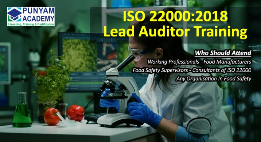 Maintaining Food Safety and Quality through ISO 22000 Standards