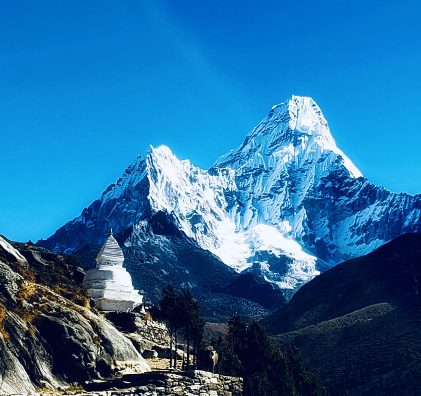 Discover the cost of trekking Everest Base Camp.