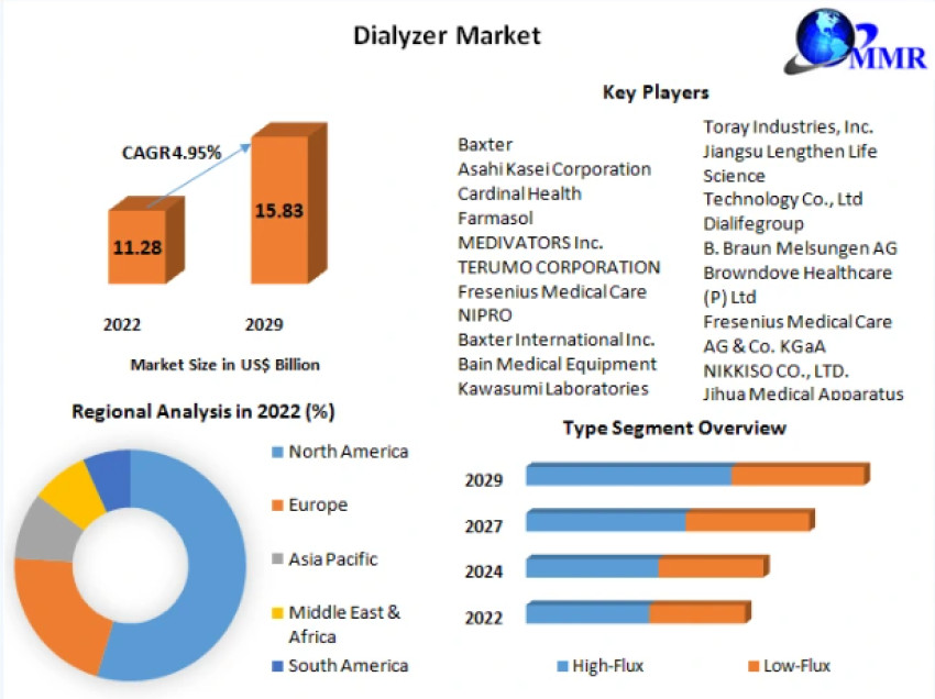 Dialyzer Market Business Strategies, Revenue and Growth Rate Upto 2029