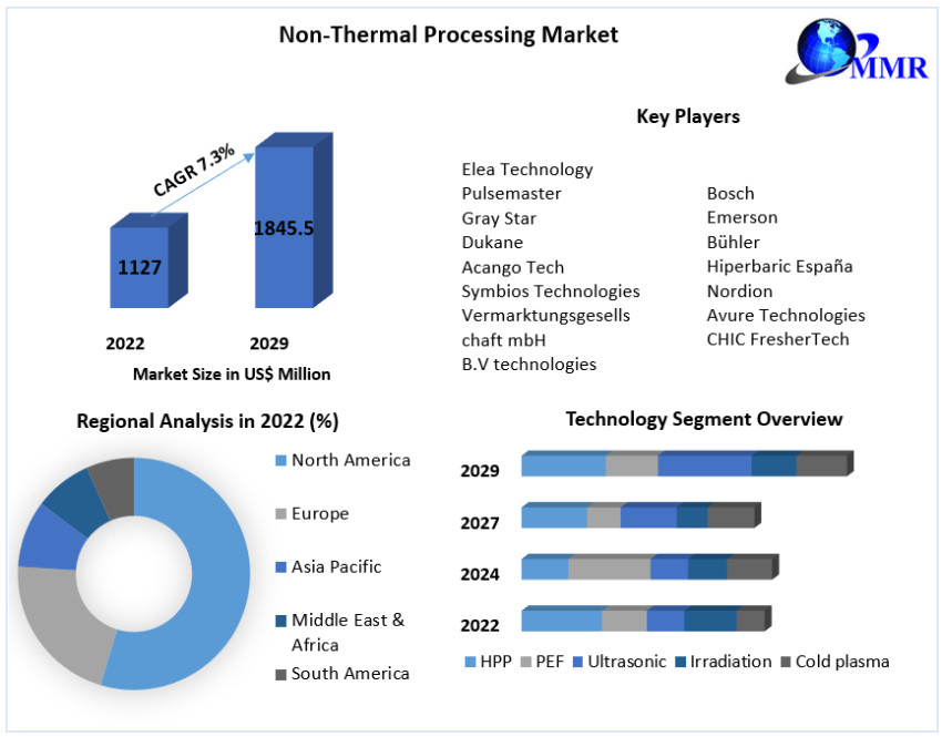 Non-Thermal Processing Market Future Scope Analysis, Trend, Future Scope and forecast