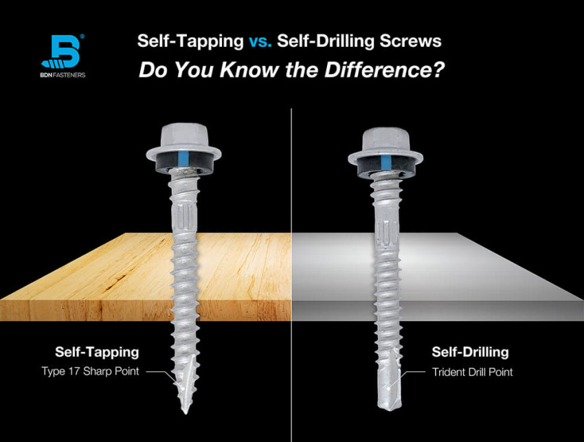 Unveiling the Secrets of Self-Tapping Screws