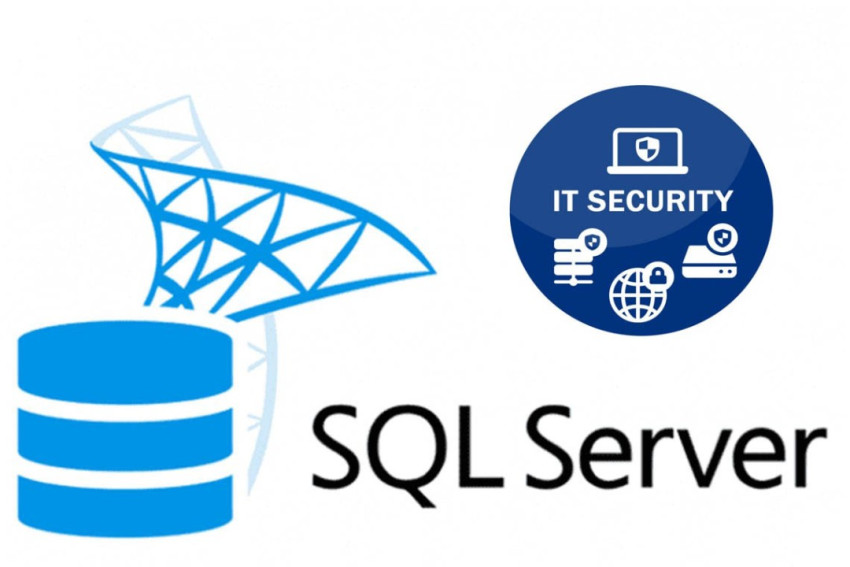 5 Essential Data Security Measures in SQL Server for Remote DBA