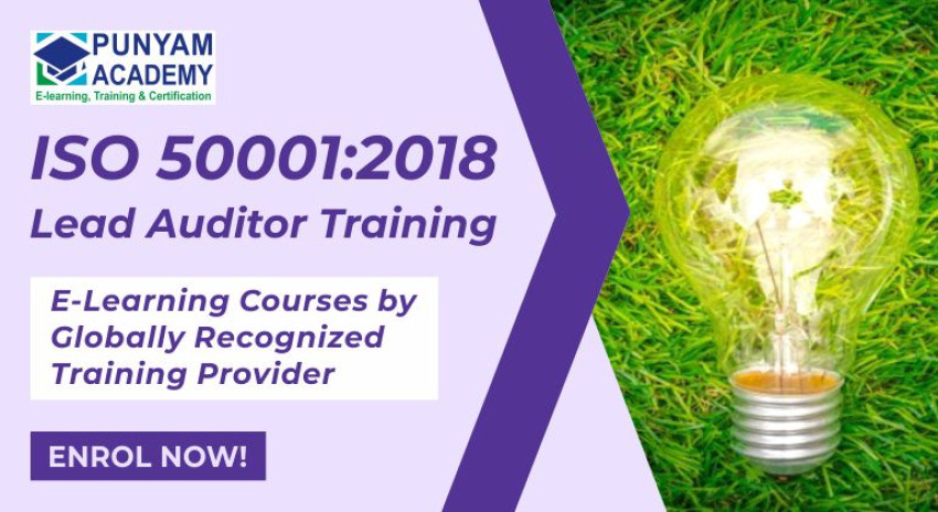 Striving for Excellence: ISO 50001 Lead Auditor Training Unveiled