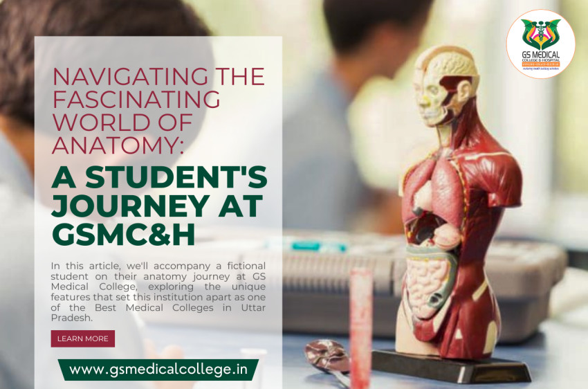 Navigating the Fascinating World of Anatomy: A Student's Journey at GS Medical College & Hospital