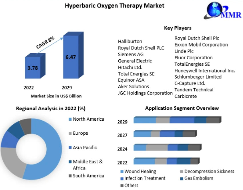 Hyperbaric Oxygen Therapy Market Segmentation and Forecast to 2029