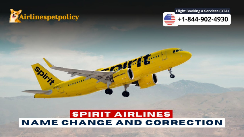 Spirit Airlines Name Change and Correction Policy