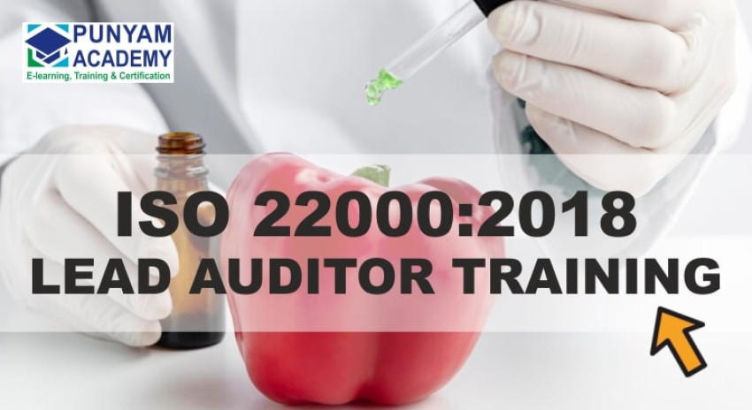 Unlocking Professional Excellence: The Impact of ISO 22000 Lead Auditor Training