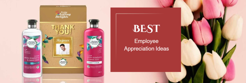 Gifts That Keep on Giving: Inspiring Employee Appreciation Ideas