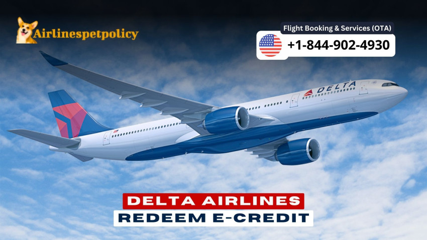 How to Use Your E-Credit on Delta Airlines?