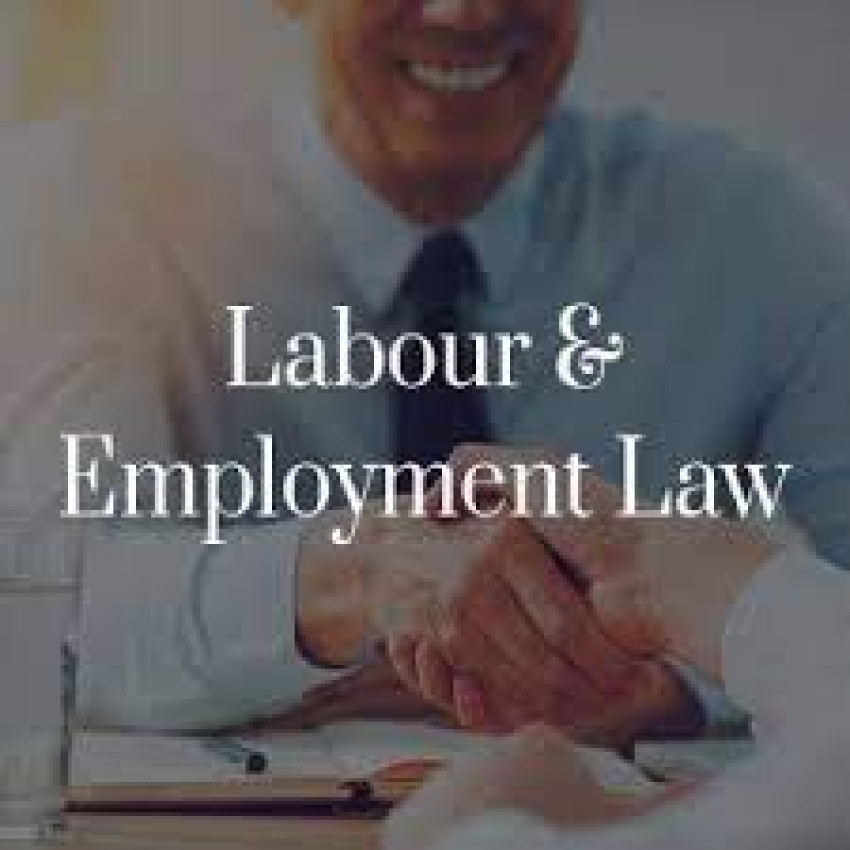 Toronto's Top Employment Lawyers: Advocating for Your Workplace Rights