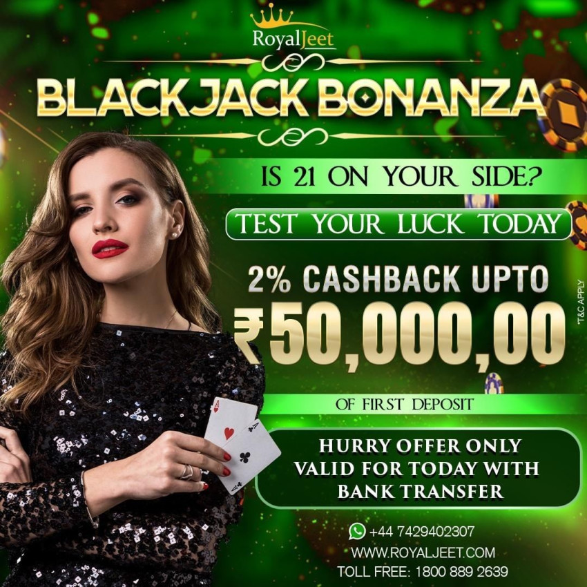 Mastering the Art of Blackjack: A Comprehensive Guide for Beginners on RoyalJeet App