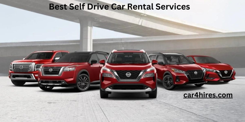 Driving Your Own Adventure: The Allure of Self-Drive Car Rentals