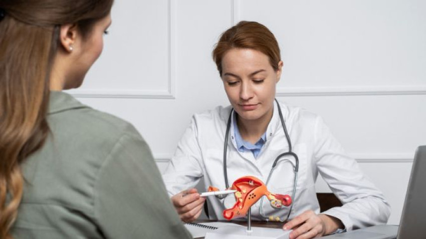 From Pregnancy to Menopause: Gynecologists in Bangalore for All Your Needs