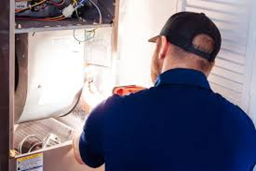 Navigating Mold Issues: A Comprehensive Guide to Inspection in Jacksonville, FL