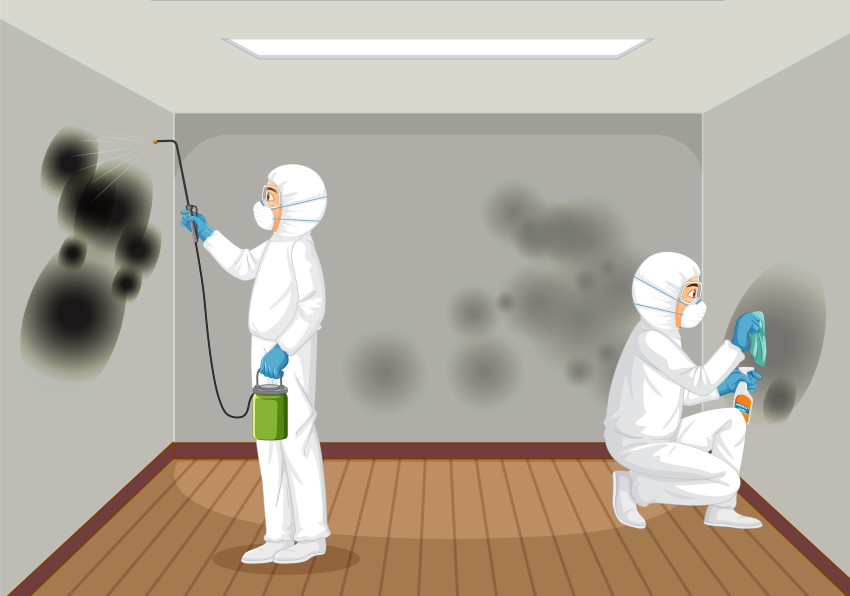 The Role of Professional Mold Testing in Gaithersburg Real Estate Transactions
