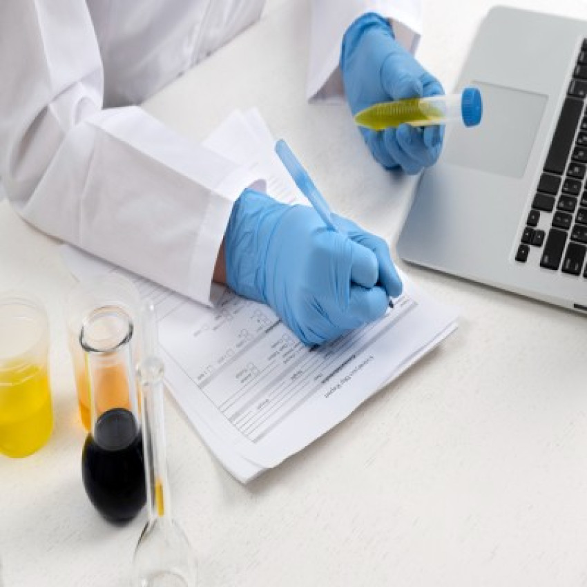 Navigating Phase II: Insights into Protocol and Progression