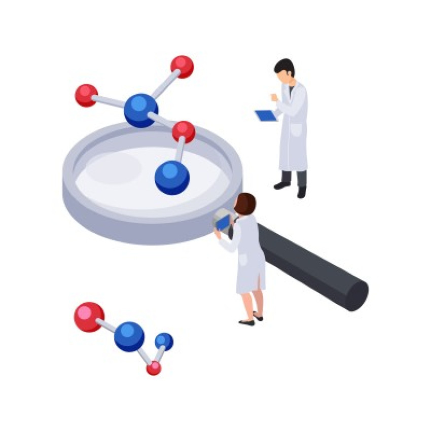 Exploring Small Molecule Dynamics: Bioanalytical Approaches
