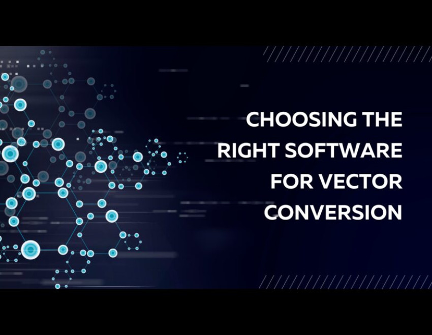 Tools for Vector Conversion - Selecting the Best Software