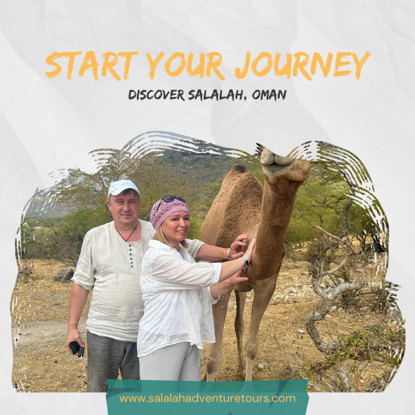 Embark on an Epic Journey Discovering the Wonders of Salalah, Oman