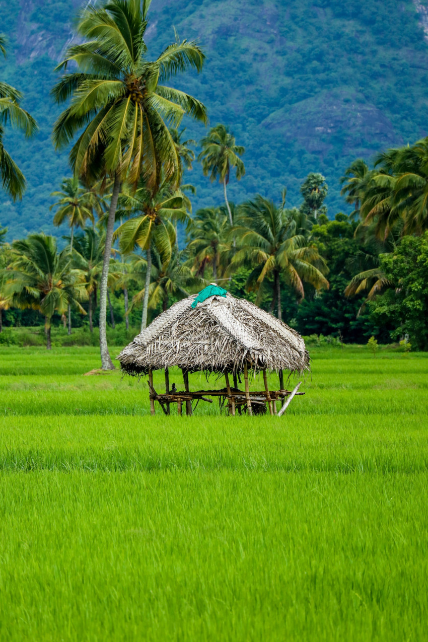 How To Explore Bali From Kochi