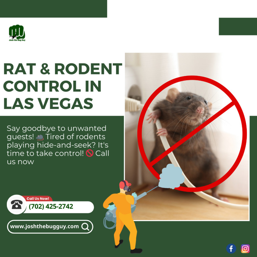 Rodent Control Las Vegas | Rat Extermination - Keeping Your Home Rodent-Free