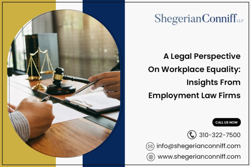 A Legal Perspective on Workplace Equality: Insights from Employment Law Firms