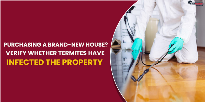 Purchasing a Brand-New House? Verify whether Termites have infected the Property