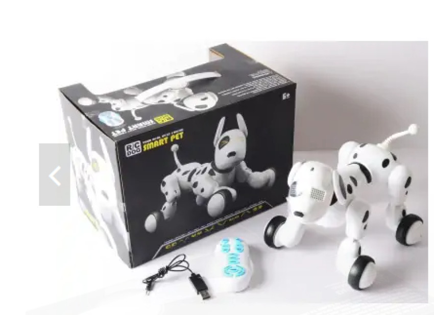 Empowering Your Legal Journey: Sealed and Legal Counsel's Expertise in Legal Services in Canada