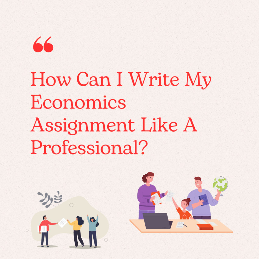 How Can I Write My Economics Assignment Like A Professional?