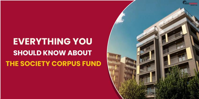 Everything You Should Know About The Society Corpus Fund