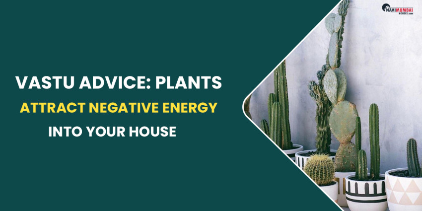 Vastu Advice: Plants That Attract Negative Energy Into Your House