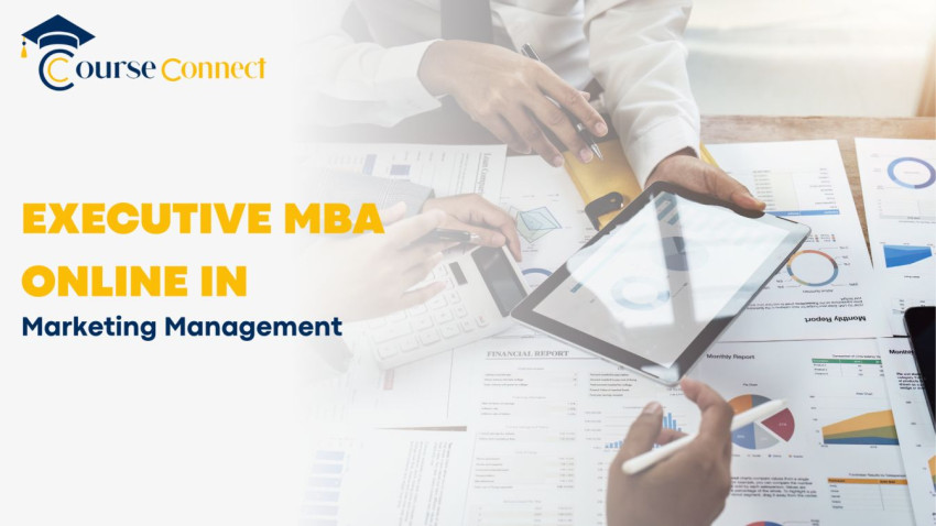 Excel with Online Executive MBA in Marketing Management