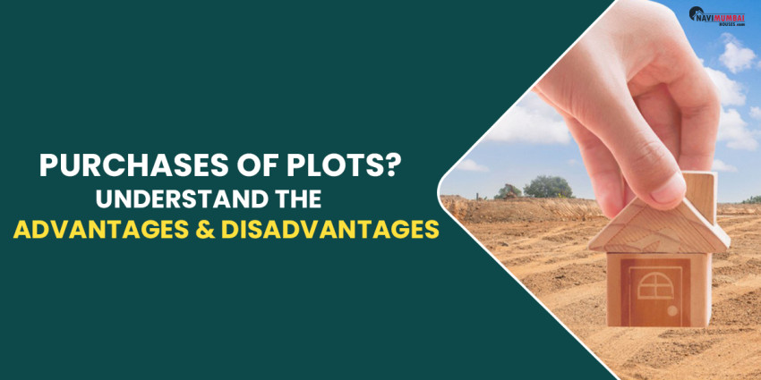 Purchases of Plots? Understand the Advantages and Disadvantages