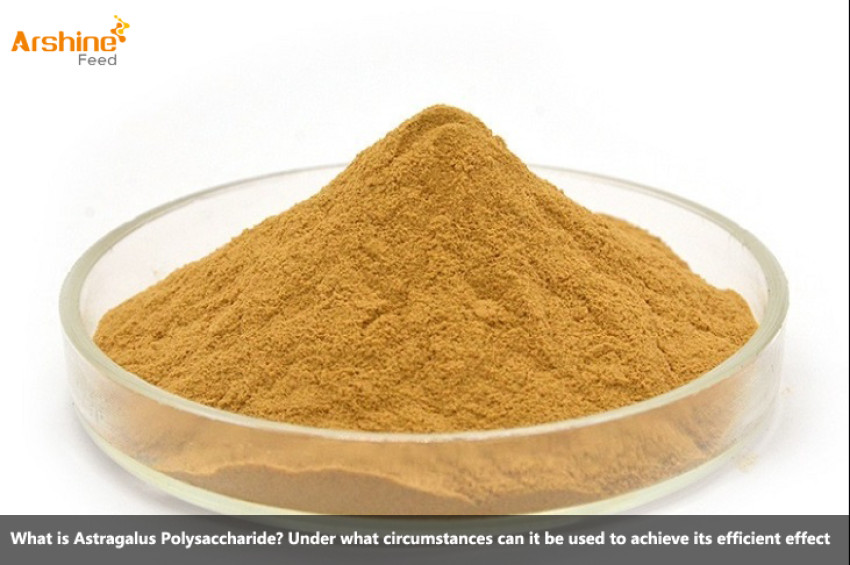 What is Astragalus Polysaccharide?