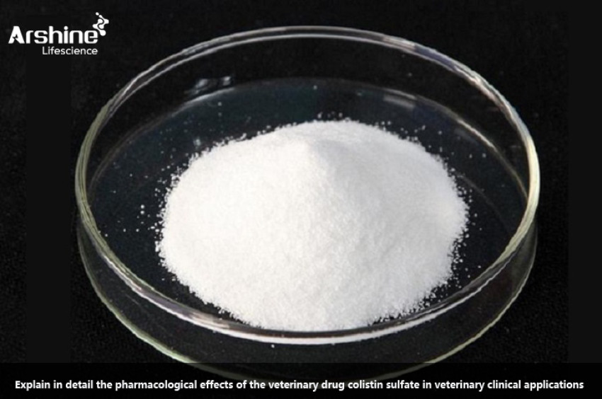 pharmacological effects of the veterinary drug colistin sulfate in veterinary clinical applications
