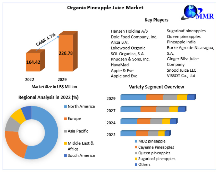 Organic Pineapple Juice Market Global Outlook and Forecast 2029