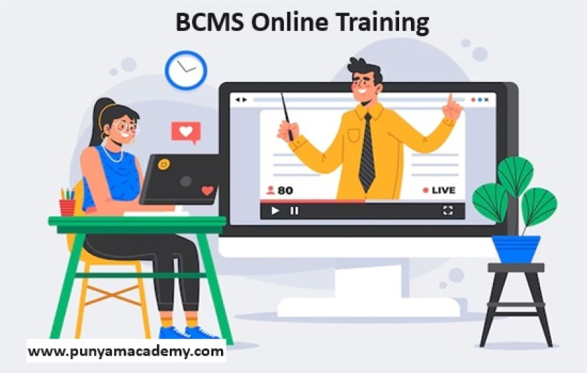 Understanding the Critical Phases of Business Continuity Management Systems