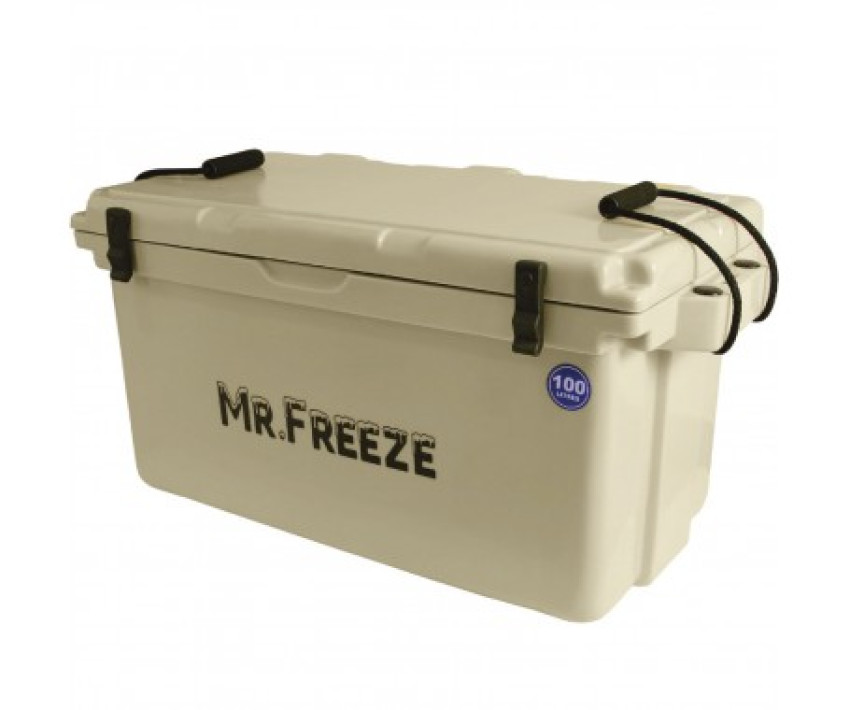 The Best Ice Box Coolers for Camping in 2024